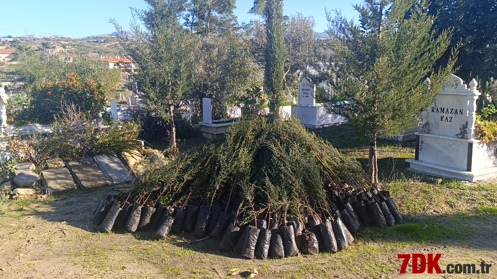 Büyük Manavgat Yangını Sonrasında İyileşme Devam Ediyor! Manavgat Mezarlığı Tekrar Yeşillenecek