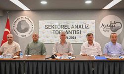 Antalya’da Zeytin Rekoltesinde Geçen Yıla Göre Yüzde 30’luk Artış Tahmin Ediliyor