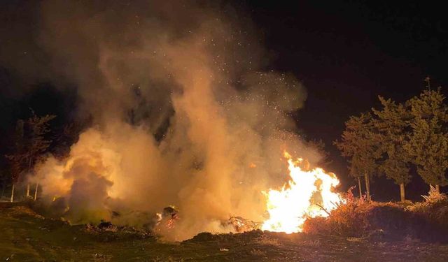 Gazipaşa'da Otluk ve Çalılık Alanında Yangın, 3 Saatlik Mücadele Sonrası Söndürüldü