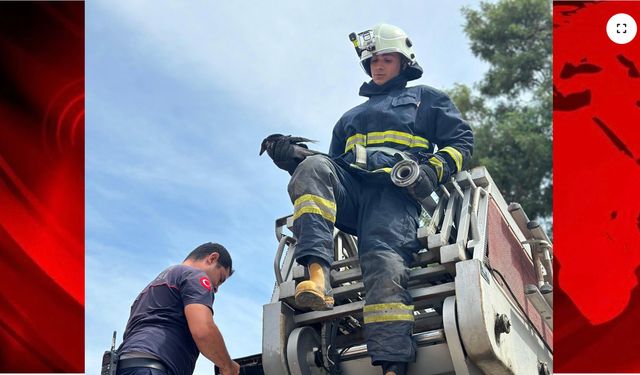 Ayağına Misina Dolanarak Ağaçta Sıkışan Karga Kurtarıldı