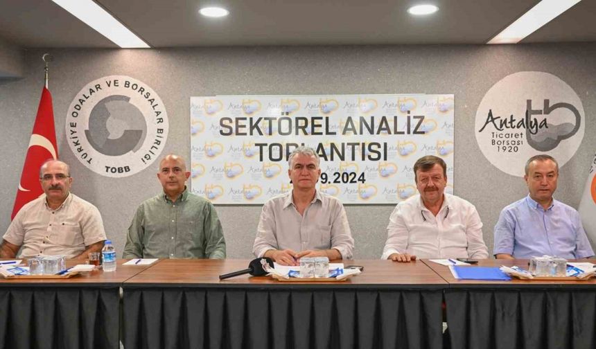 Antalya’da Zeytin Rekoltesinde Geçen Yıla Göre Yüzde 30’luk Artış Tahmin Ediliyor